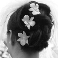 bride2.jpg