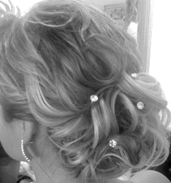 carrieweb-copy