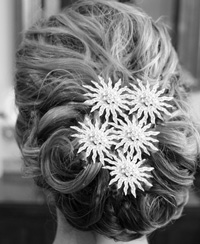 img_2606web