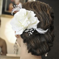 lan-hair-lr1