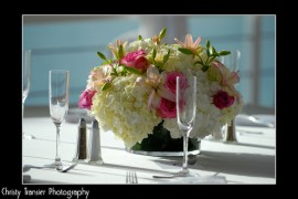 transierphotography  2