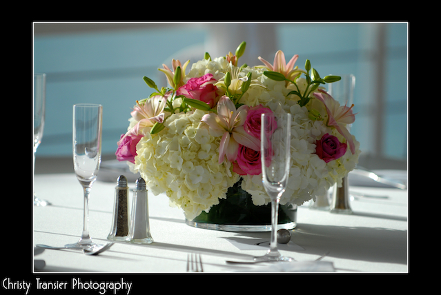 transierphotography  2